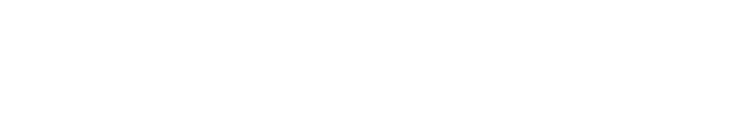 Logo F.E.D. Unternehmensberatung Inhaberin Enesa Orend